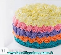 Kırşehir Nevzine Tatlısı doğum günü pastası gönder adrese pasta siparişi ver